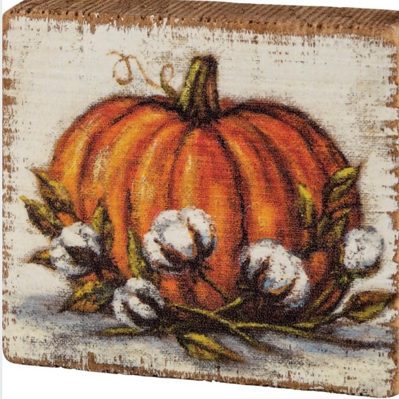 Pumpkin with cotton - Picture 2 of 4
